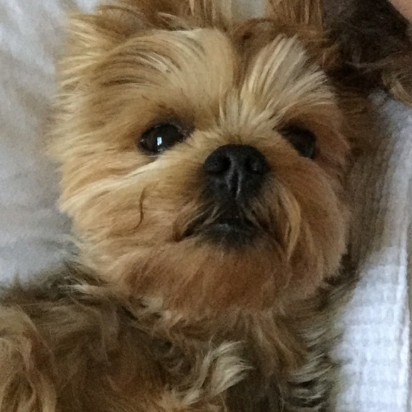 Meet your Posher, Dainora - Picture 3 of 6